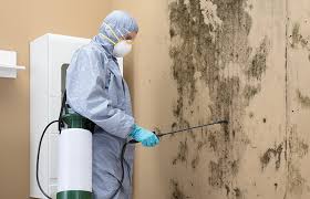 Best Mold Documentation for Insurance Claims  in Ingleside, TX